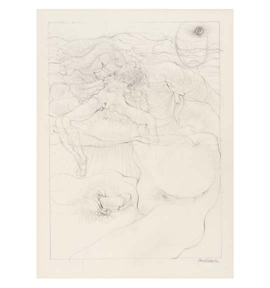 A drawing consisting of delicate wavy lines depicting a nude female figure, and male and female genitalia engaging in sexual intercourse.