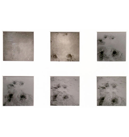 A series of photographs, arranged in 2 rows of 3 photographs each. The photos appear to be sequential, and show what could be hand and footprints.