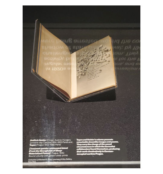 A photograph of an exhibition display case with a small book open to a photograph and poem.